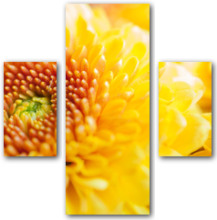 0006139