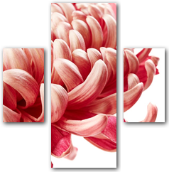 0006144