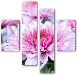 0006145