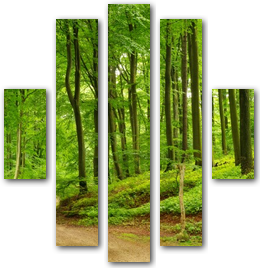0000207
