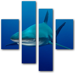 0000963