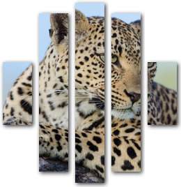 0001447