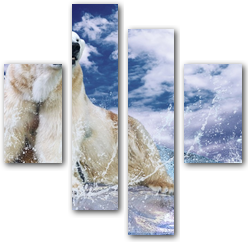 0005019