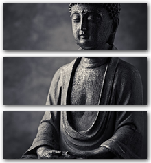 0005502