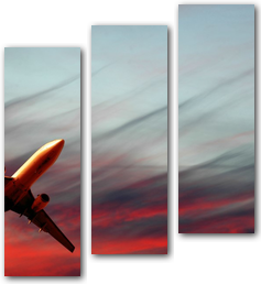 0005430