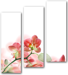 0004312