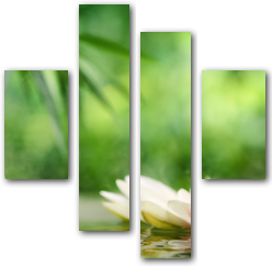 0007157