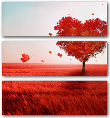 Фотообои Артикул: 0004544