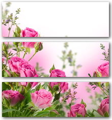 Фотообои Артикул: 0008400