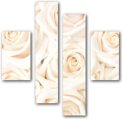 0010055