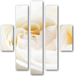 0010057