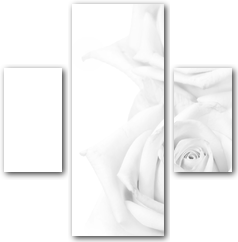 0010059