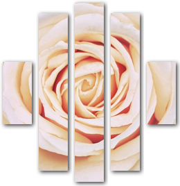 0010062