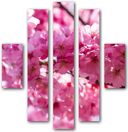 0010224