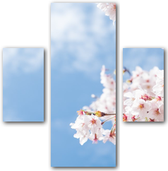 0010226