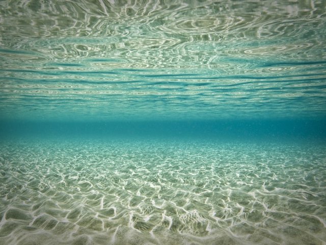 Фотообои - №0000930