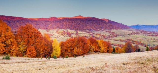 Фотообои - Красочный осенний пейзаж карпатской долины - №0001321