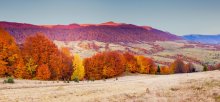 Фотообои Красочный осенний пейзаж карпатской долины
