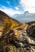Фотообои Артикул: 0007001
