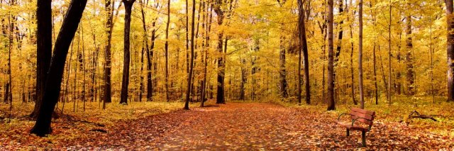 Фотообои - Панорамный пейзаж осеннего парка - №0002774