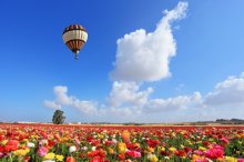 Фотообои Артикул: 0004487