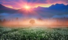 Фотообои Артикул: 0004597