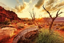 Фотообои Пустынный американский пейзаж в лучах заката