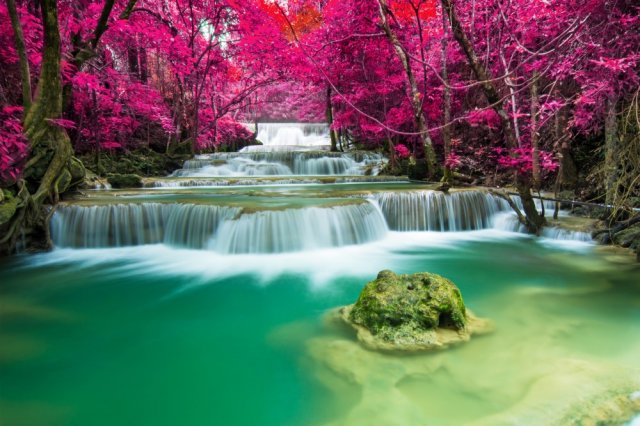 Фотообои - Красочная листва тропиков и водопад в джунглях - №0001092