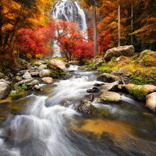 Фотообои Стремительный горный ручей с водопадом