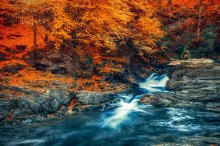 Фотообои Артикул: 0007419