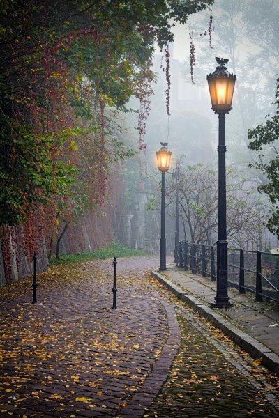 Фотообои - №0007229