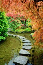 Фотообои Уголок в осеннем саду Butchart Gardens, остров близ Ванкувера