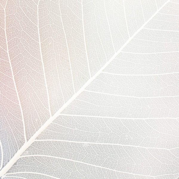 Фотообои - №0007466
