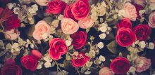 Фотообои Розы с листьями и другими цветами