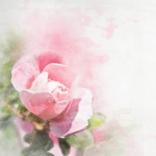 Фотообои Артикул: 0007276