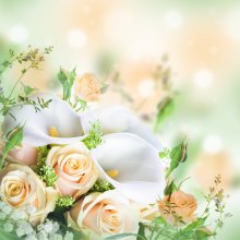 Фотообои Артикул: 0008793