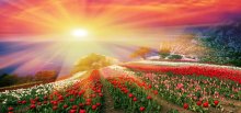 Фотообои Артикул: 0001909